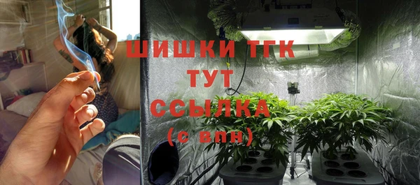 твердый Карпинск
