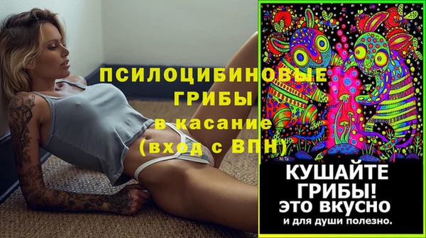 амф Карталы