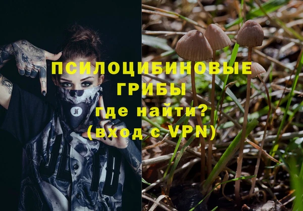 твердый Карпинск
