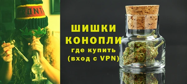 мдпв Касимов
